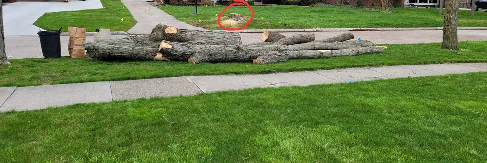 Trusted landscaping services in Attica, MI - Owen Tree Service