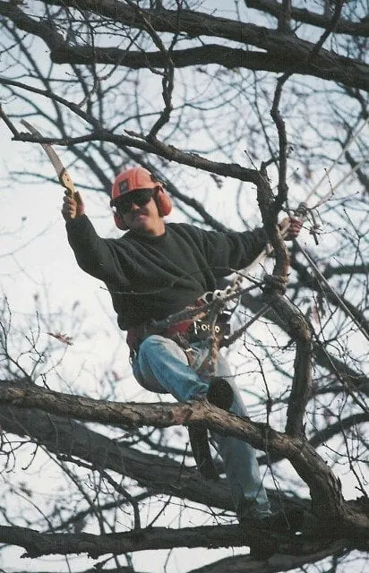 Affordable landscaping services in Attica, MI - Owen Tree Service