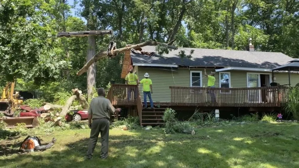 Expert landscape design experts serving Attica, MI - Owen Tree Service Inc