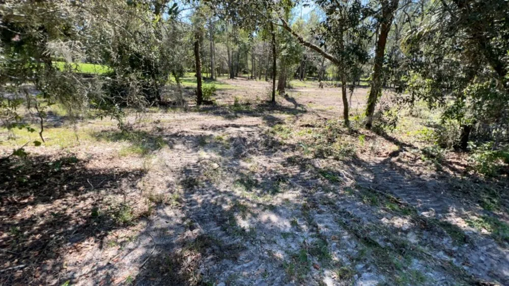 Reliable residential landscaping for outdoor upgrades across Wildwood, FL - Owens Construction & Debris Removal