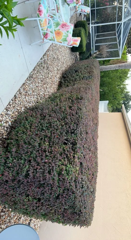 Affordable lawn care service for outdoor upgrades across Wildwood, FL - Owens Construction & Debris Removal