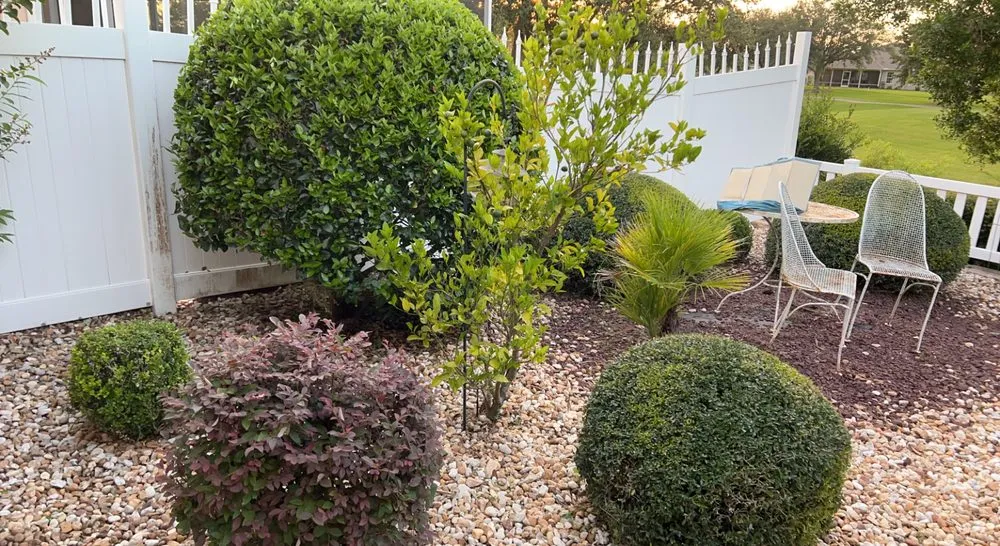 Expert lawn care service in Wildwood, FL - Owens Construction & Debris Removal
