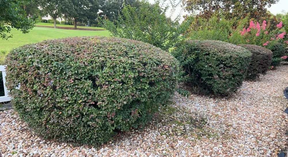 Custom yard maintenance for outdoor upgrades across Wildwood, FL - Owens Construction & Debris Removal