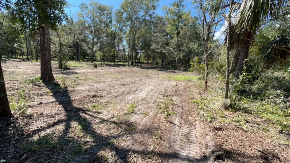 Expert landscaping services for year-round maintenance across Wildwood, FL - Owens Construction & Debris Removal