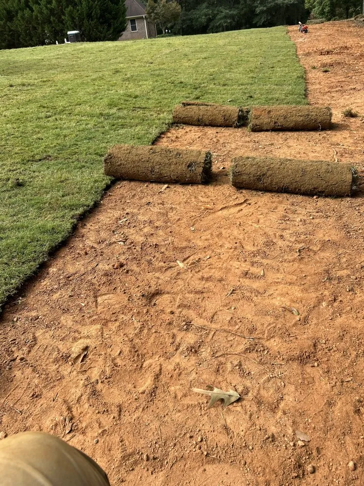 Trusted yard cleanup service experts serving Laurens, SC - Owens Landscapes