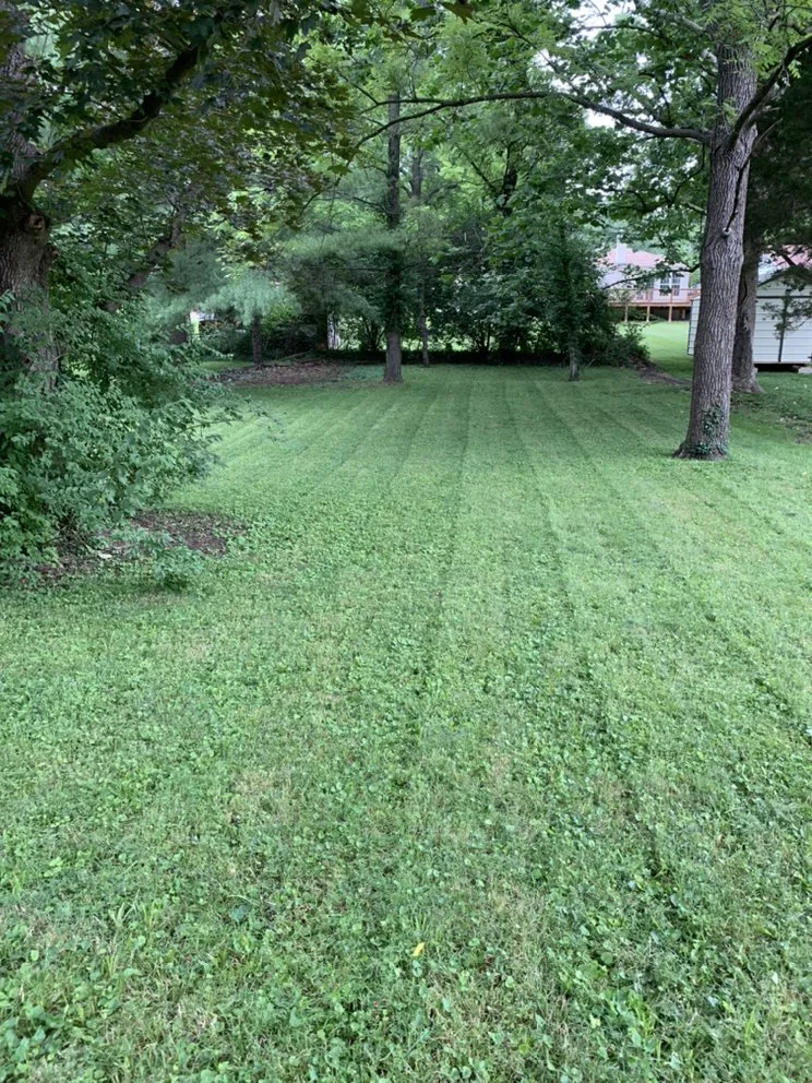 Trusted landscape installation near you in Saint Louis, MO by Owens Landscaping & Lawn Care