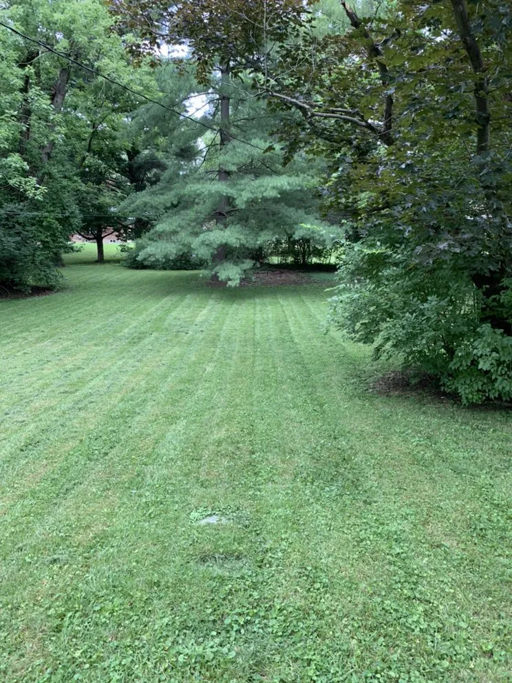 Expert landscaping services near you in Saint Louis, MO by Owens Landscaping & Lawn Care