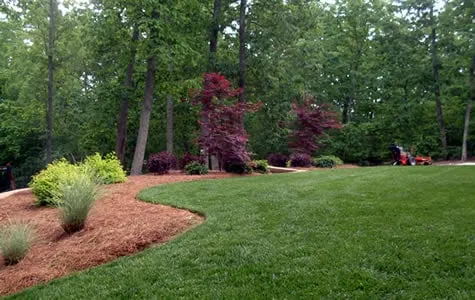 Trusted landscape installation for year-round maintenance in Clover, SC by Owens Landscaping Inc