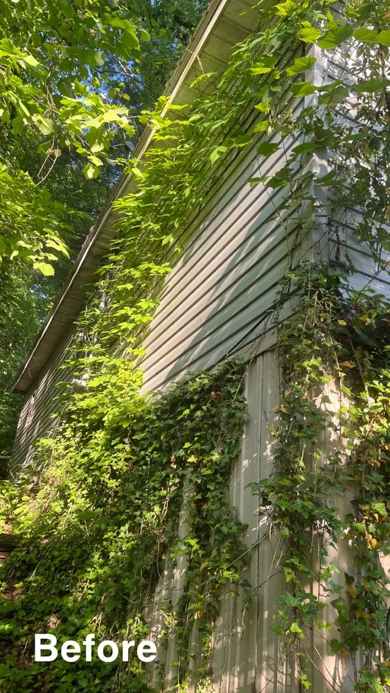 Local landscaping services in Nitro, WV - Owens Landscaping