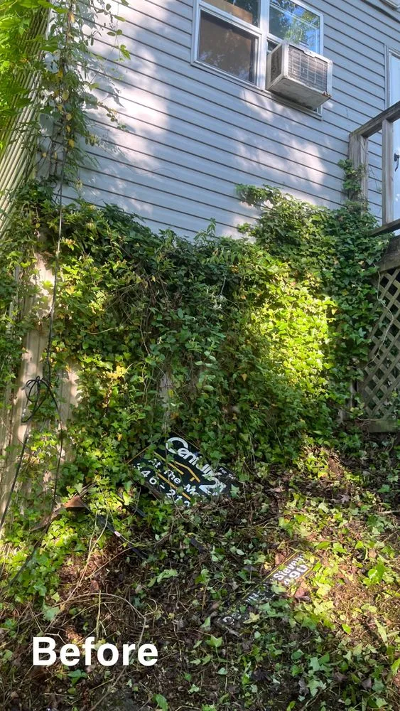 Local landscape installation in Nitro, WV - Owens Landscaping