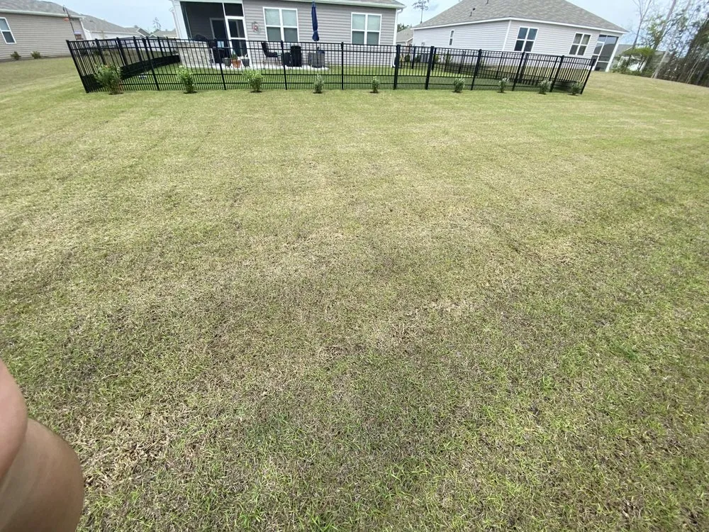Affordable landscape installation for residential properties across Conway, SC - Owens Lawn Care