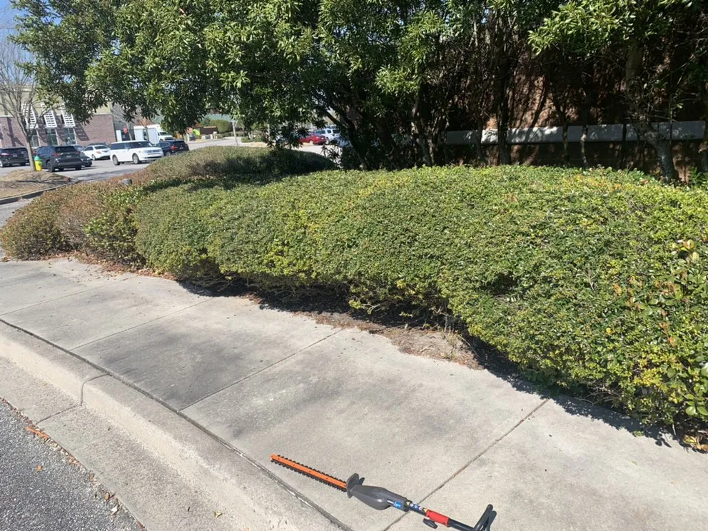 Affordable landscape installation for homes in Conway, SC by Owens Lawn Care