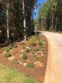 Professional yard cleanup service near you in Iron Station, NC by Owens Lawn Service