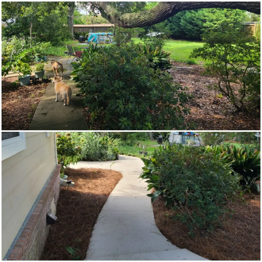 Top-rated garden landscaping for year-round maintenance across Charleston, SC - Owens Outdoor Solutions
