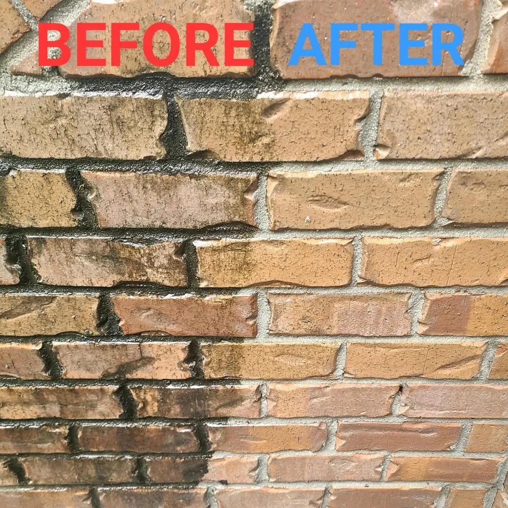 Expert yard cleanup service in Charleston, SC - Owens Outdoor Solutions