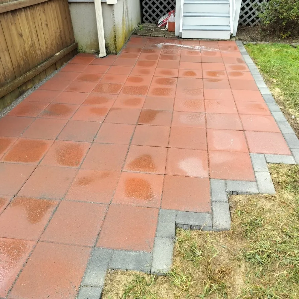 Custom yard cleanup service experts serving New Bedford, MA - Owl Eye