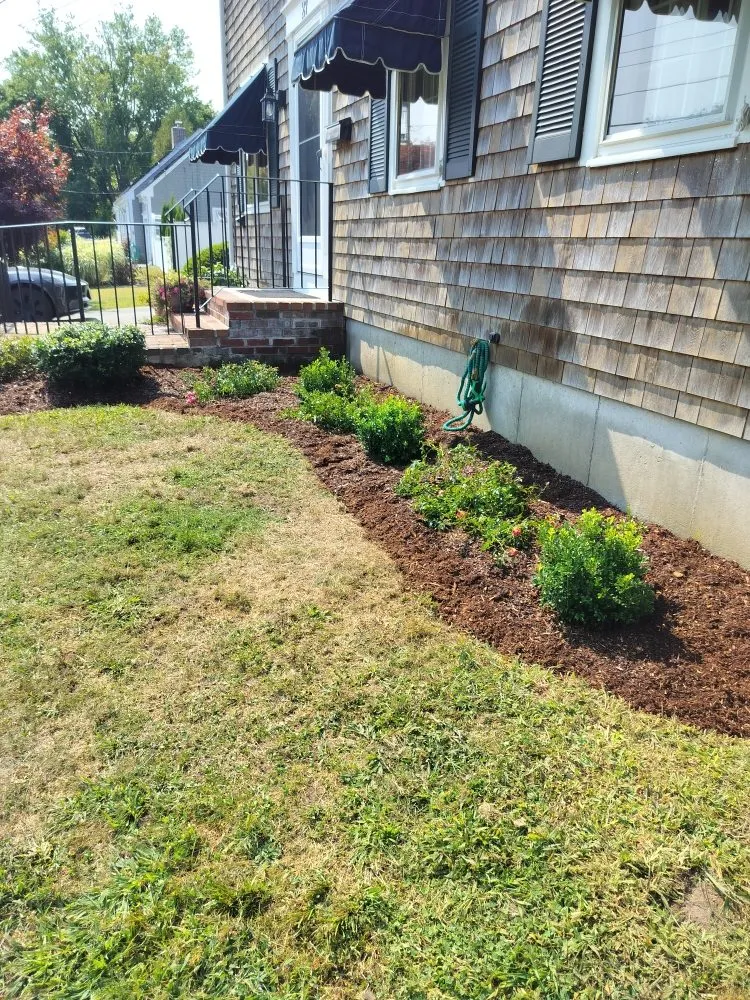 Professional landscape installation in New Bedford, MA by Owl Eye