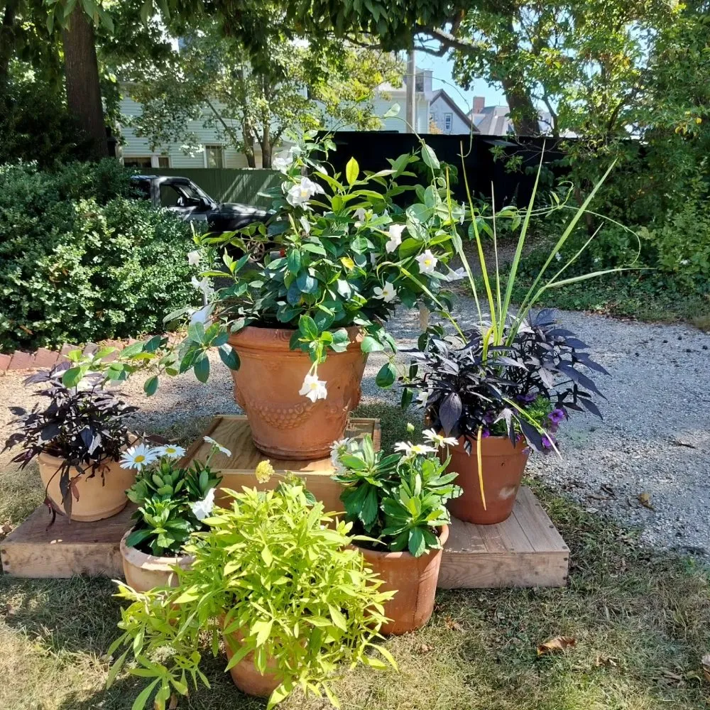 Expert landscape design in New Bedford, MA by Owl Eye