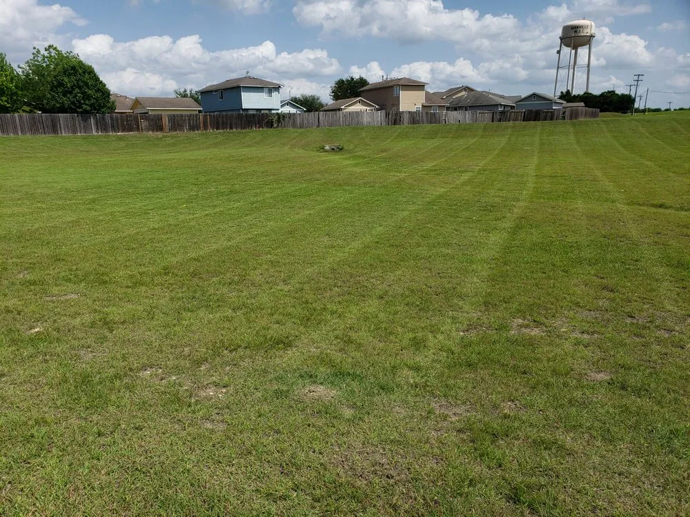 Reliable residential landscaping for outdoor upgrades in Manor, TX by Owl Landscaping