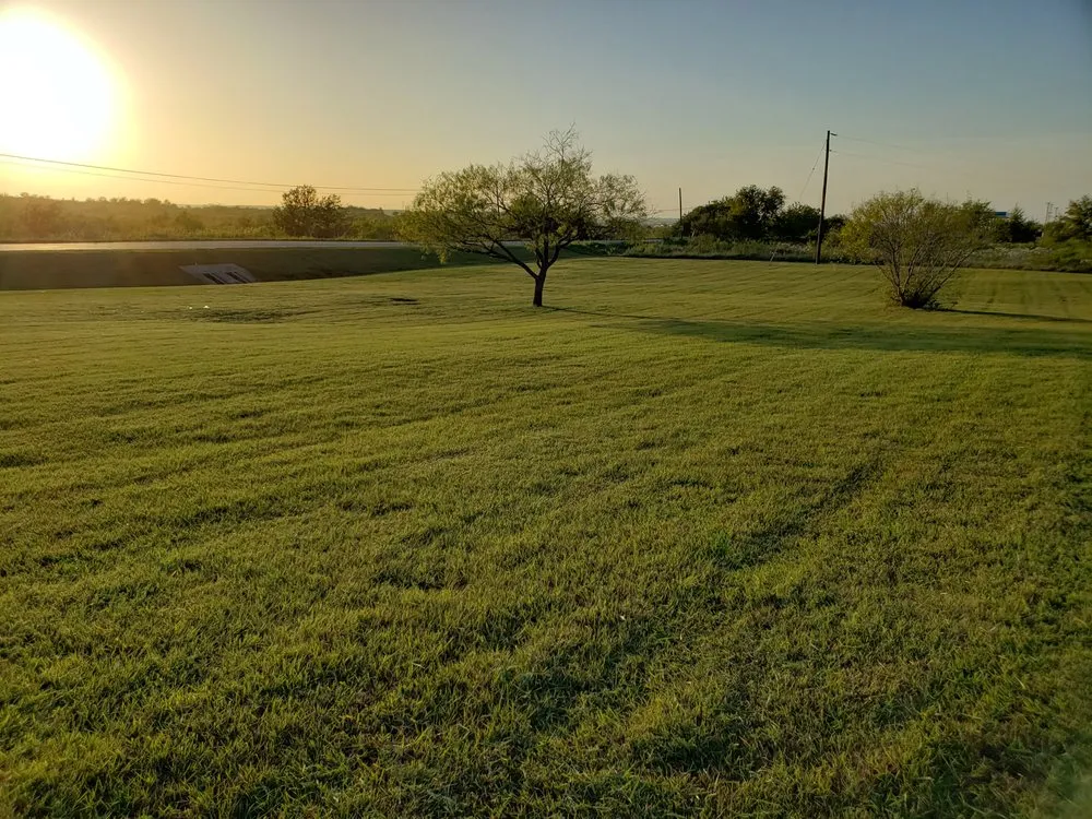 Expert yard cleanup service for year-round maintenance in Manor, TX by Owl Landscaping