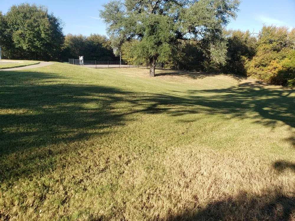 Expert landscape installation for outdoor upgrades across Manor, TX - Owl Landscaping