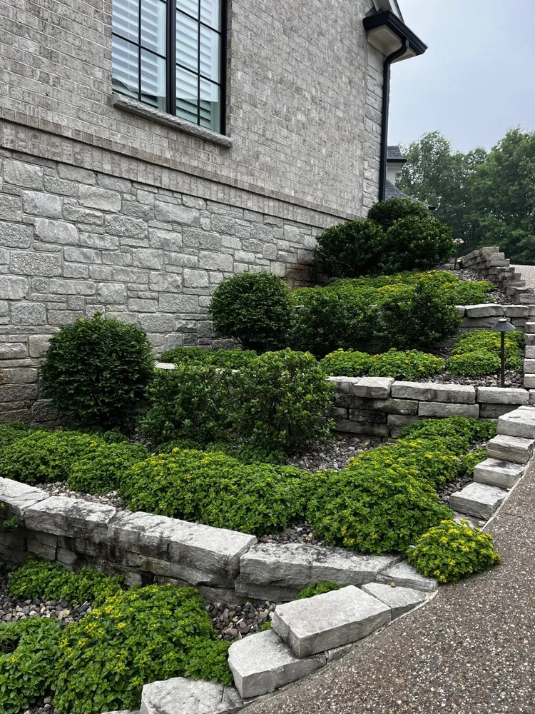 Custom yard cleanup service experts serving O Fallon, MO - OwlEye Landscaping