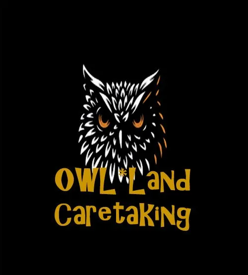 Professional residential landscaping for outdoor upgrades in Webster, WI by Owlland Caretaking