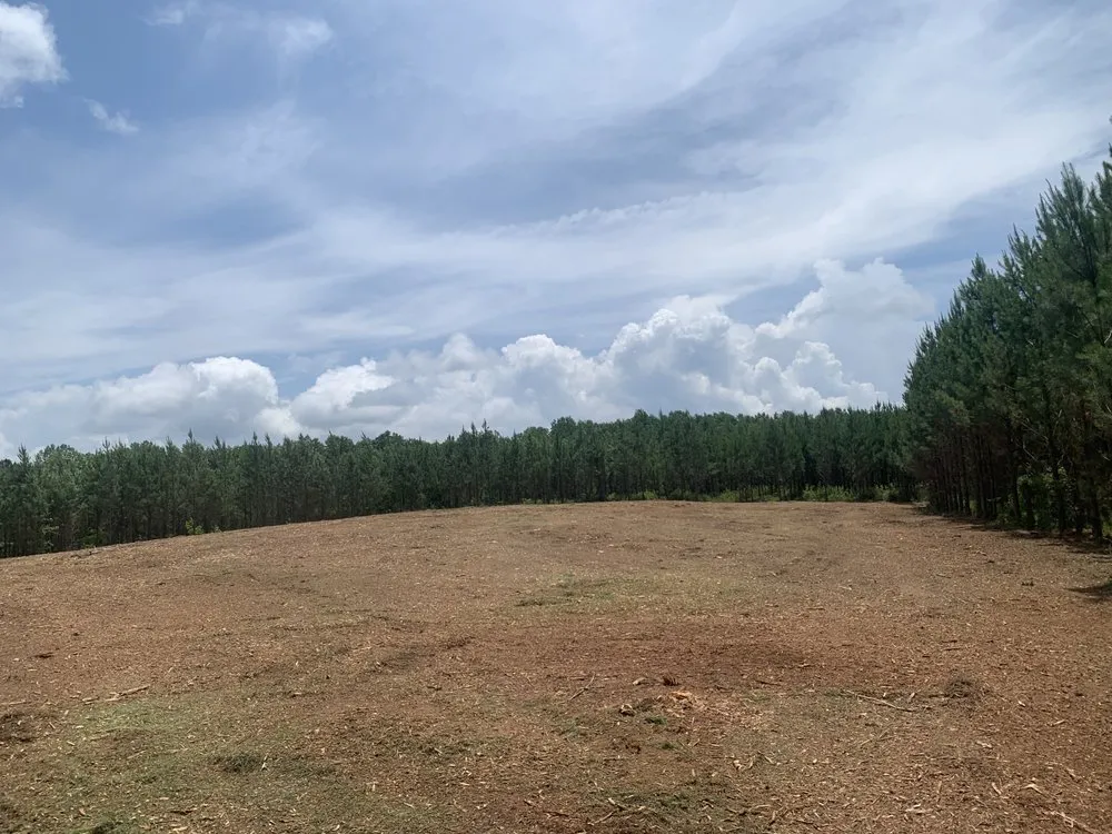 Trusted yard maintenance near you across Barnesville, GA - Owls Construction