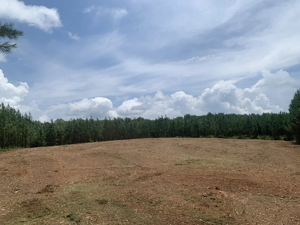 Trusted yard maintenance in Barnesville, GA - Owls Construction