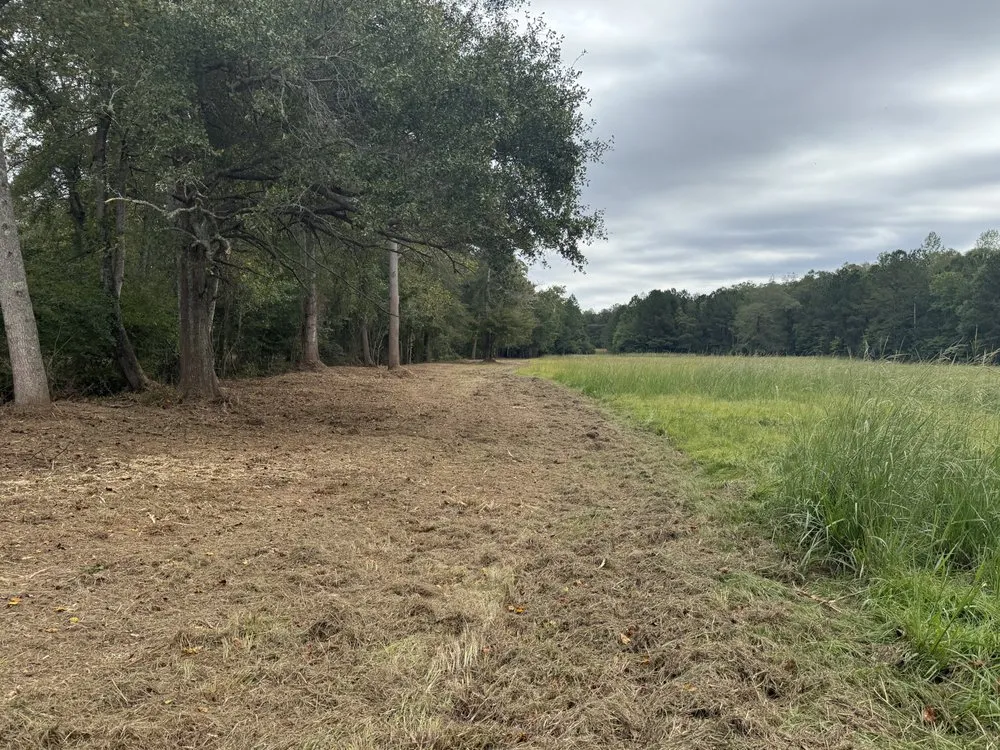 Local lawn care service for residential properties in Barnesville, GA by Owls Construction