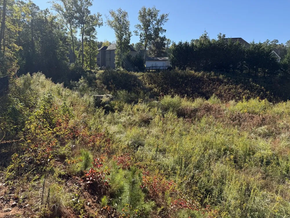 Local yard cleanup service for homes across Barnesville, GA - Owls Construction