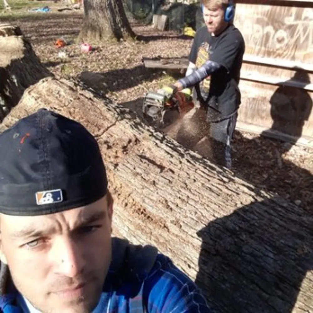 Reliable lawn mowing service experts serving Waynesville, OH - Owls Tree Service