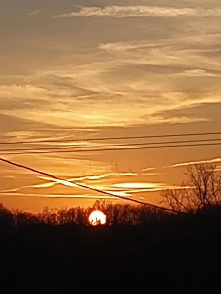 Reliable lawn mowing service in Waynesville, OH - Owls Tree Service