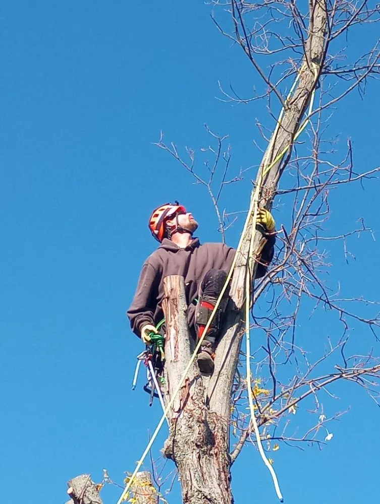 Reliable garden landscaping experts serving Waynesville, OH - Owls Tree Service