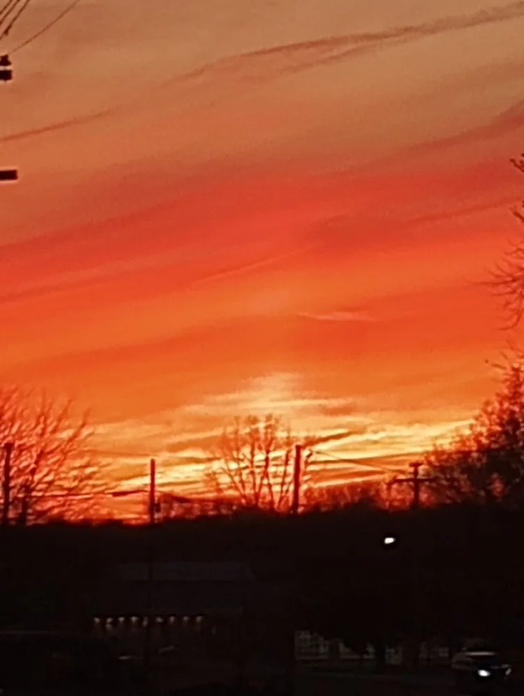 Reliable lawn care service experts serving Waynesville, OH - Owls Tree Service