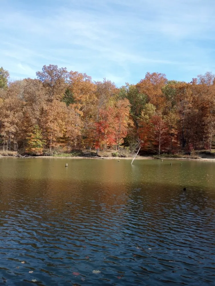 Top-rated lawn care service for beautiful yards in Waynesville, OH by Owls Tree Service