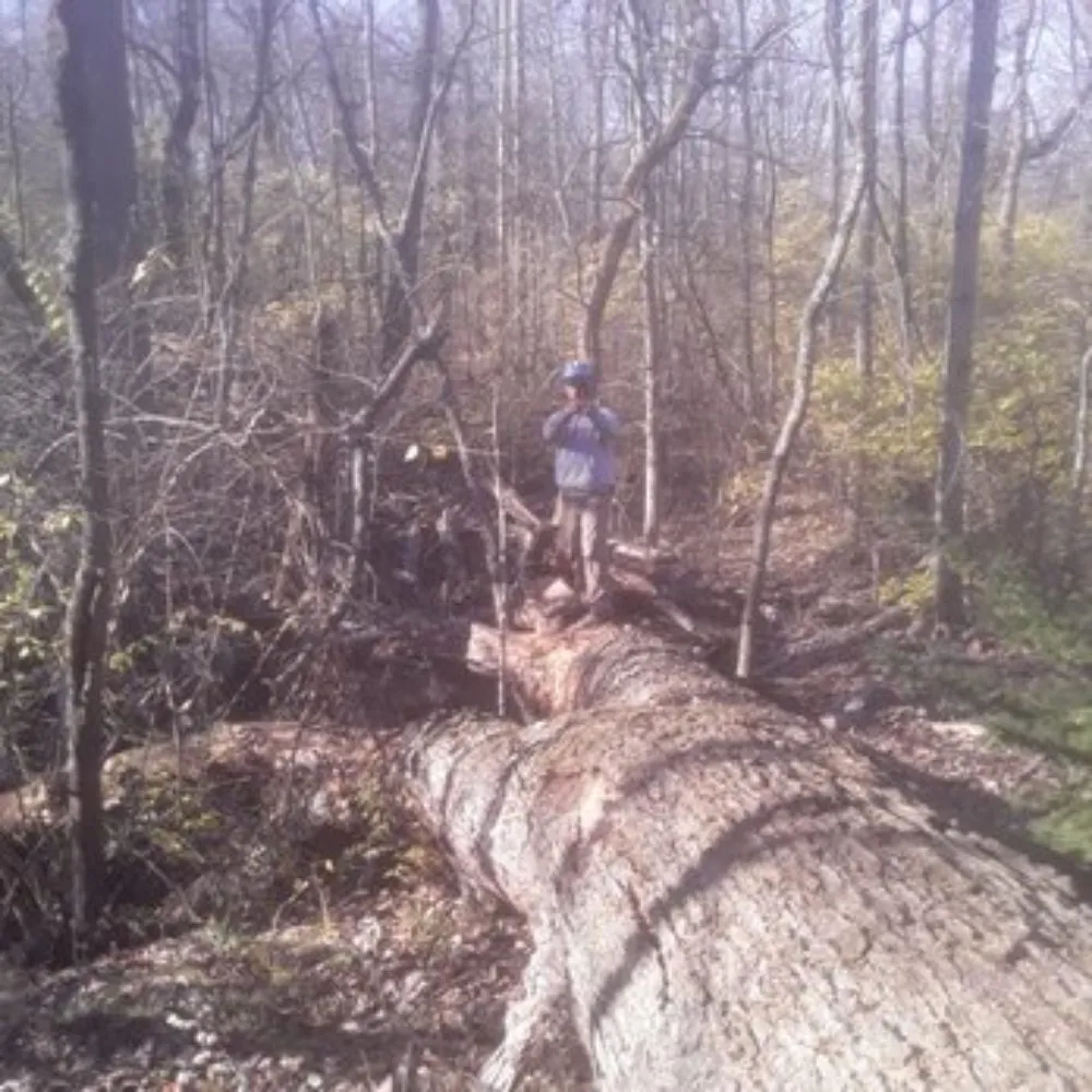 Trusted outdoor landscaping near you across Waynesville, OH - Owls Tree Service