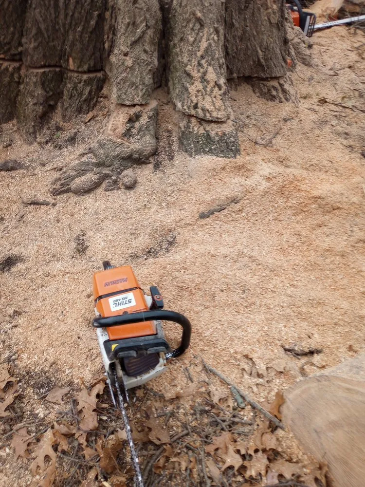 Local outdoor landscaping for beautiful yards across Waynesville, OH - Owls Tree Service