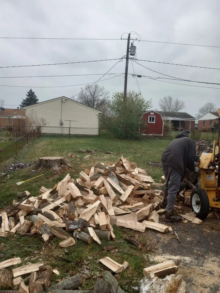 Reliable yard cleanup service experts serving Waynesville, OH - Owls Tree Service
