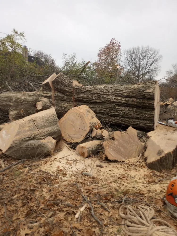 Reliable landscaping services in Waynesville, OH by Owls Tree Service