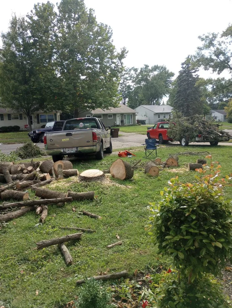 Trusted lawn care service for outdoor upgrades in Waynesville, OH by Owls Tree Service