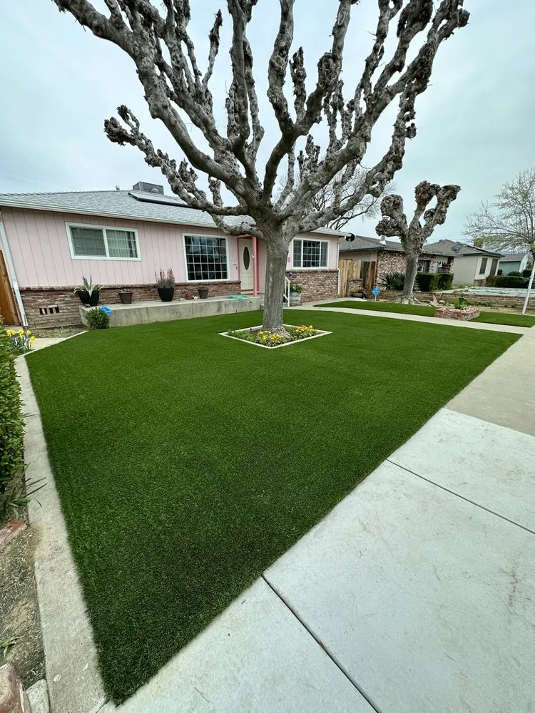 Top-rated yard cleanup service in Visalia, CA - OWO Landscaping