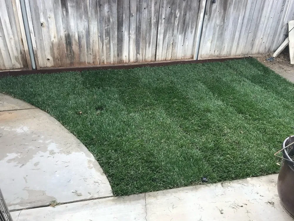 Top-rated landscaping services in Temecula, CA by OX Hauling & Landscape Services