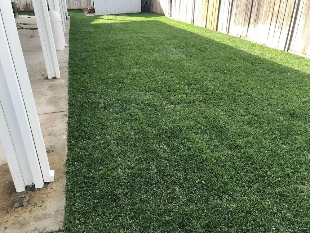 Affordable outdoor landscaping in Temecula, CA - OX Hauling & Landscape Services