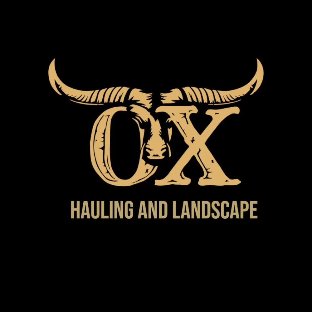 Trusted lawn care service for homes across Temecula, CA - OX Hauling & Landscape Services