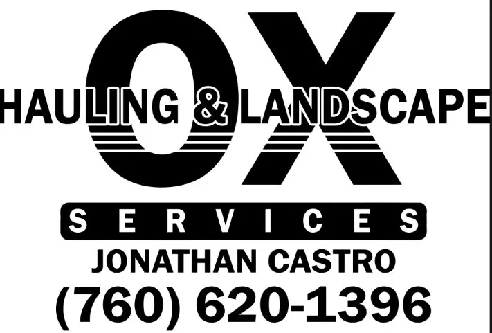 Expert yard maintenance for outdoor upgrades in Temecula, CA by OX Hauling & Landscape Services