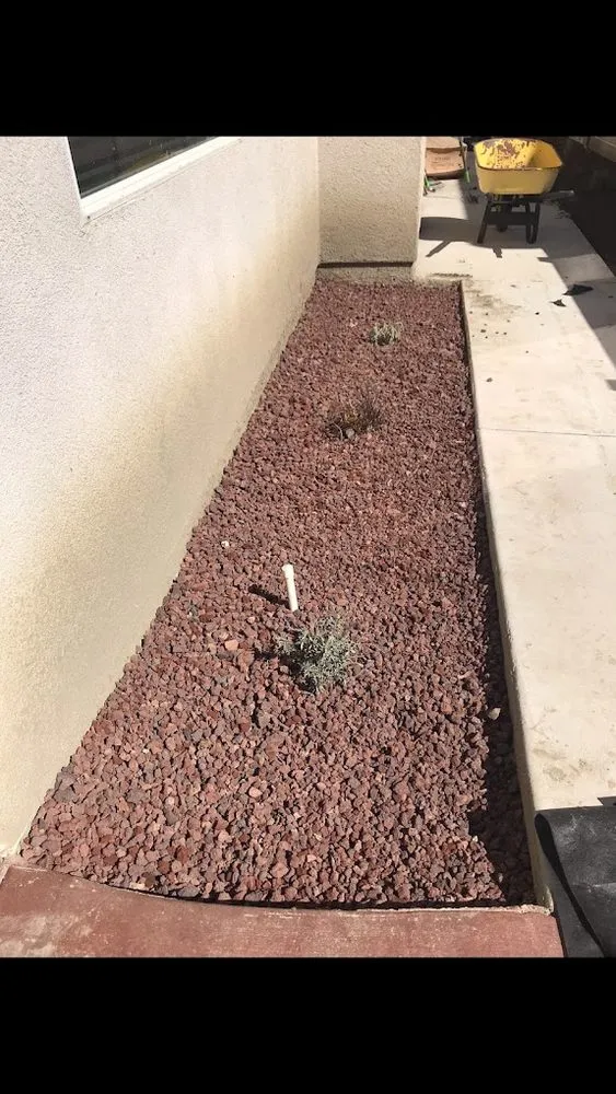 Professional lawn care service for beautiful yards across Temecula, CA - OX Hauling & Landscape Services