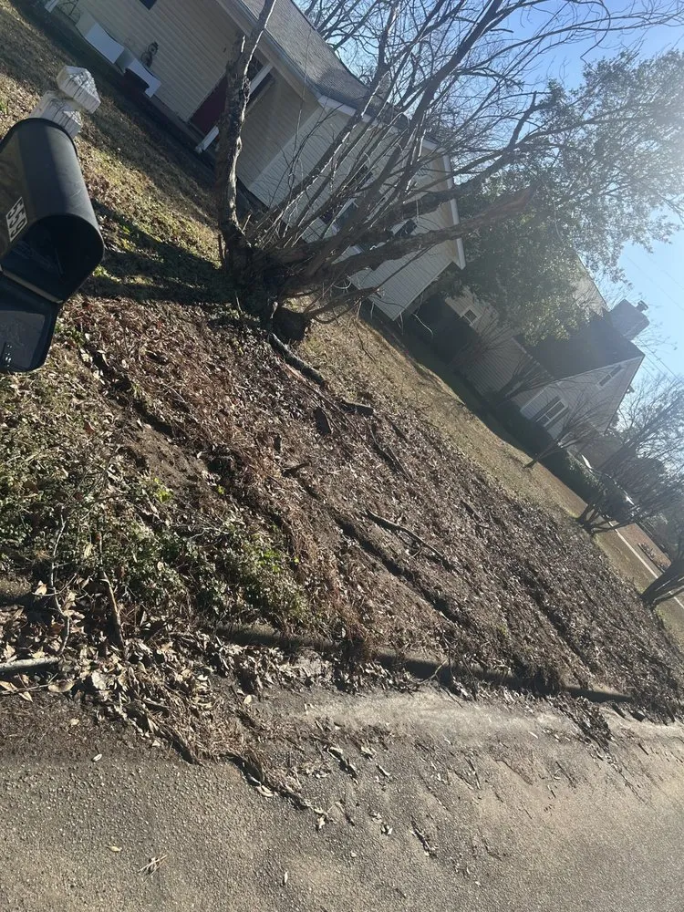 Custom landscape installation for outdoor upgrades in Augusta, GA by Oxendines Lawn Care