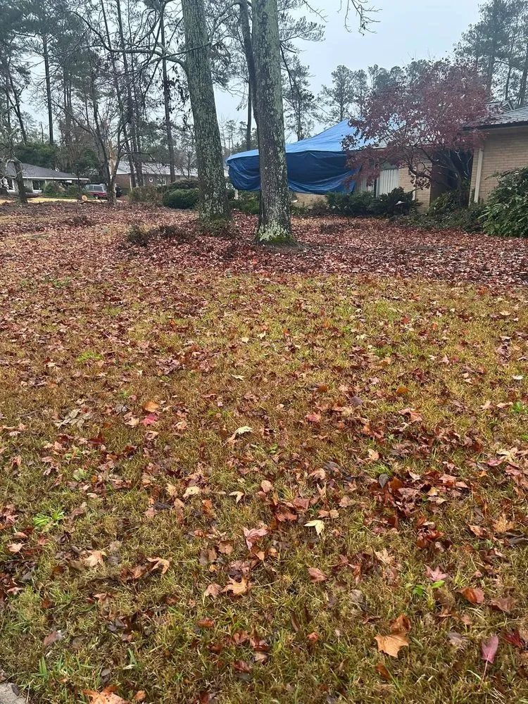 Professional yard cleanup service experts serving Augusta, GA - Oxendines Lawn Care