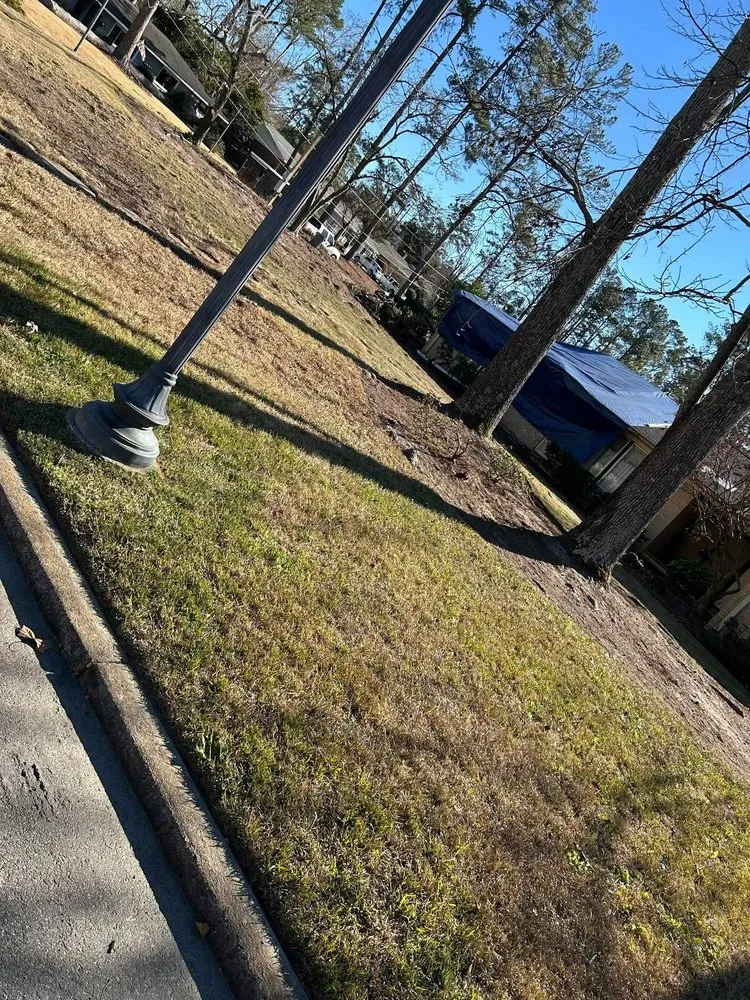 Trusted landscaping services in Augusta, GA by Oxendines Lawn Care